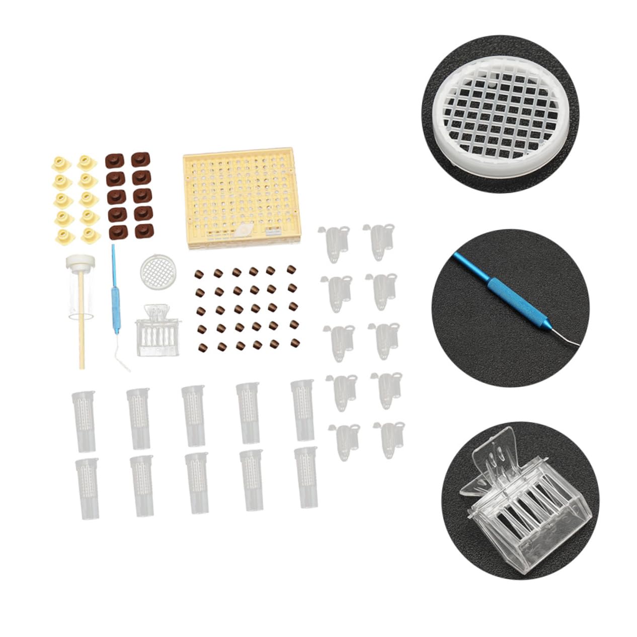 Set di Allevamento in Abs Leggero, Facile da Usare | Apicoltura, Accessorio per Api, Soluzione Pratica per Cura Dell’alveare Colore Casuale