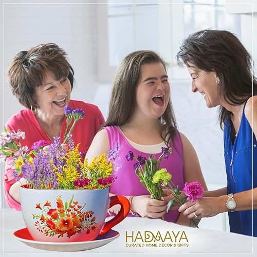 Vista 9 de hadaaya 7.5" Round Ceramic Teacup Shape Planter Pot with Saucer for Succulents Orchids Herbs Cactus Indoor Houseplants Flowers for Home Garden and