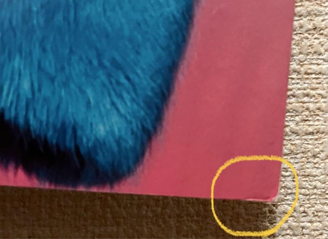 Amazon.co.jp: ワンエン 高尾颯斗 サイン パネル HAYATO one n