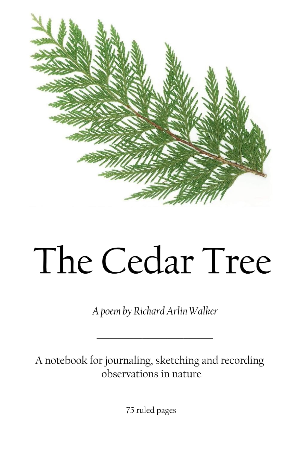 The Cedar Tree: A notebook for journaling, sketching and recording observations in nature