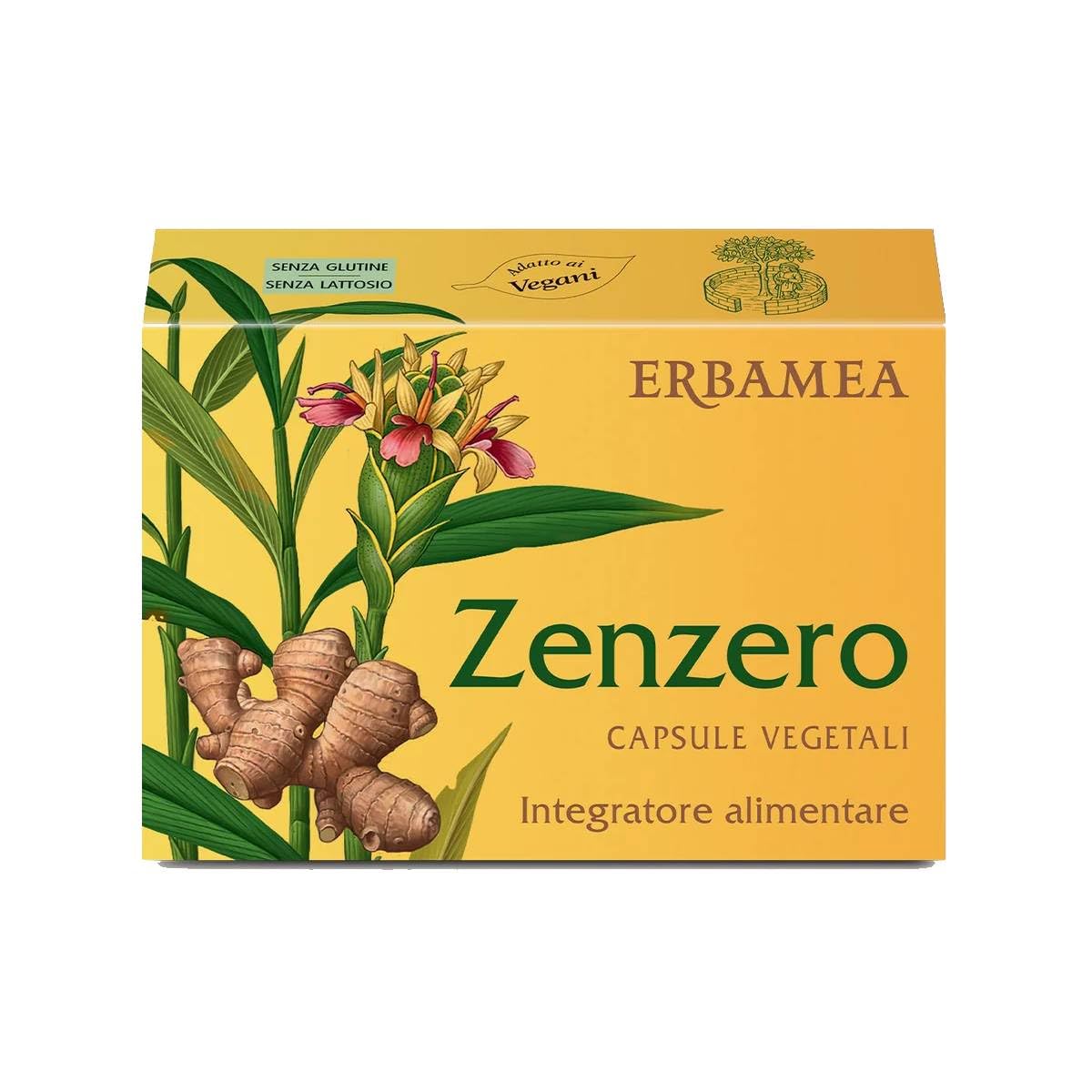 Zenzero 24CPS