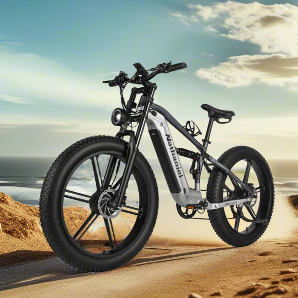 Nathaniel SYR09 Adult Electric Bike, Dual Motor,26 * 4.0Fat Tires,48V20Ah, All Terrain Off-Road E-Bike