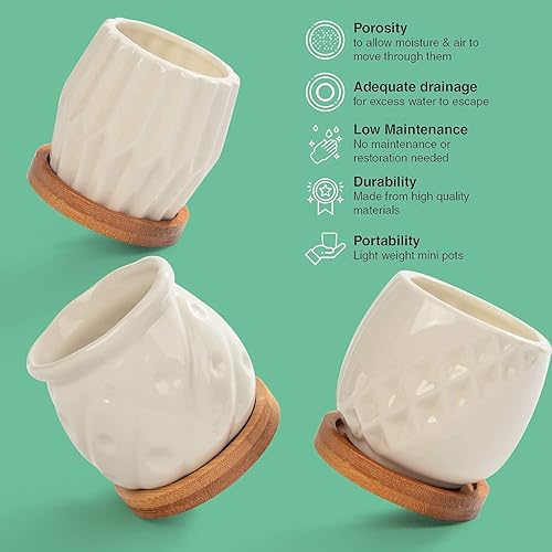 Miniatura 8 de B SEPOR Juego de 6 macetas de porcelana simples blancas para macetas pequeñas, cactus suculento para bebé, con drenaje y platillo para decoración