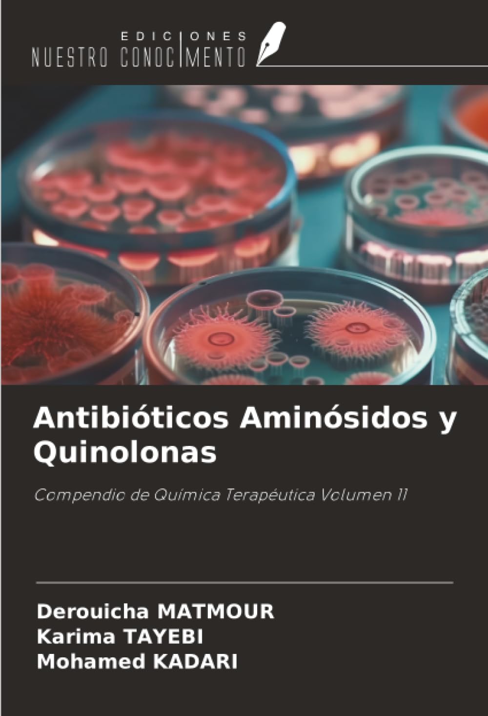 Antibióticos Aminósidos y Quinolonas: Compendio de Química Terapéutica Volumen 11