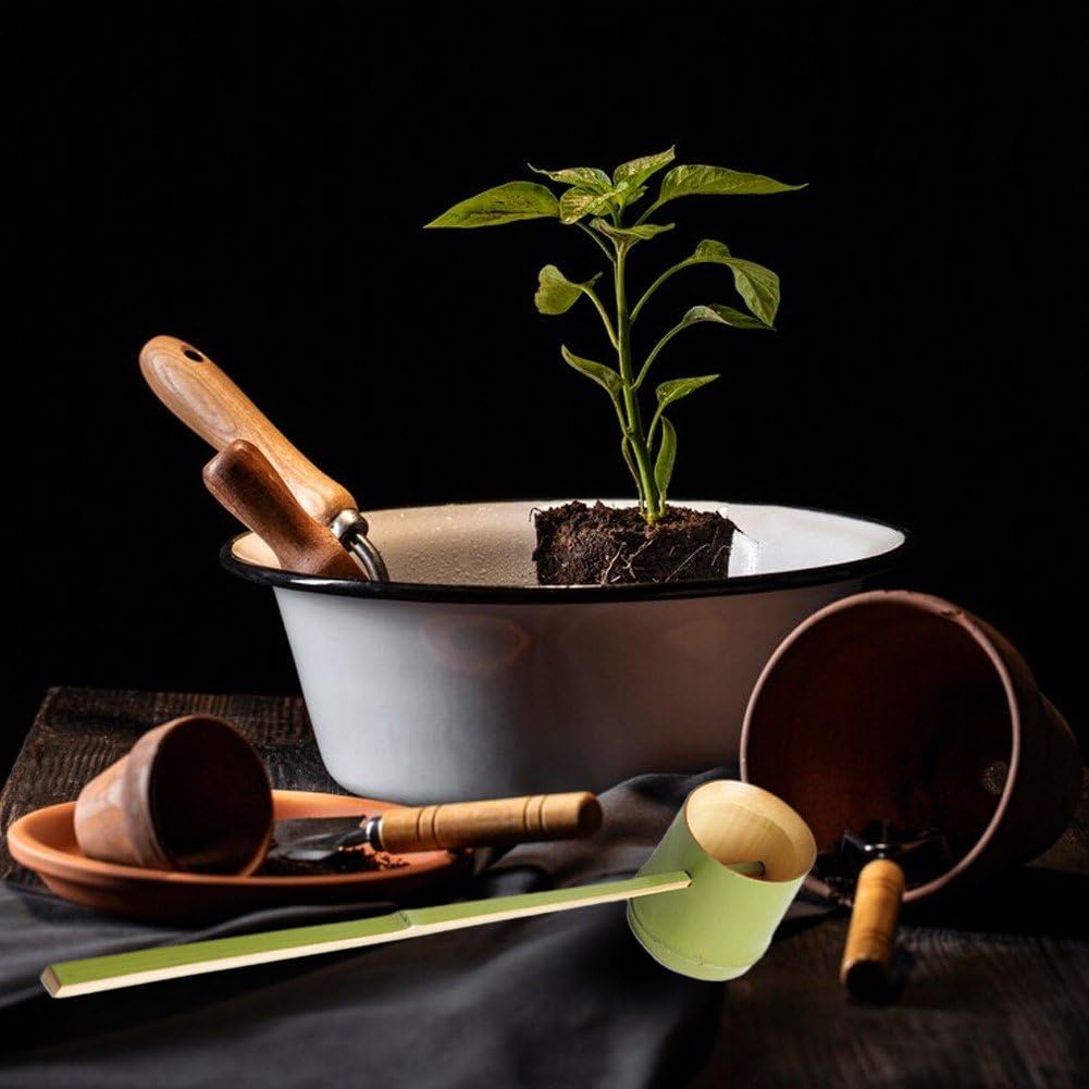 Herramientas Japonesas para Ceremonia del Té, Cuchara De Bambú con Largo, Cuchara De Té Natural, Cucharón De Té, Cuchara De Té De Madera, Cuchara De Cucharón De Madera, Cucharón De Agua De