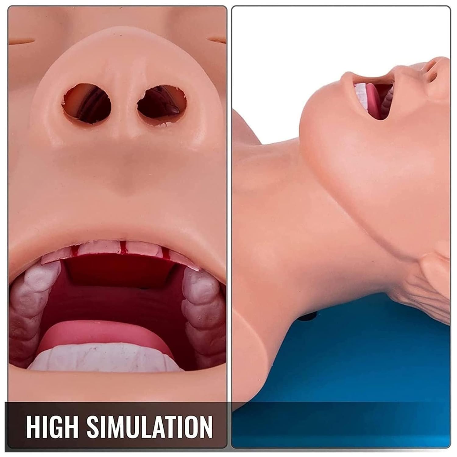 Adult Intubation Manikin Teaching Model Airway Management Trainer Tracheal Intubation Training Simulator Model,with Alarm, Science Lab Education