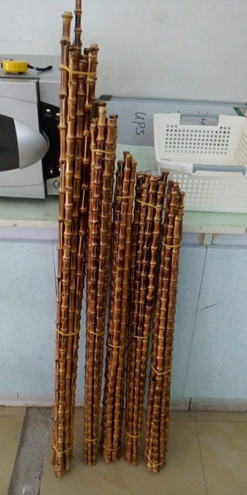 Amazon 竹の根 長さ95 100 80本セット Tiger 馬術スポーツ