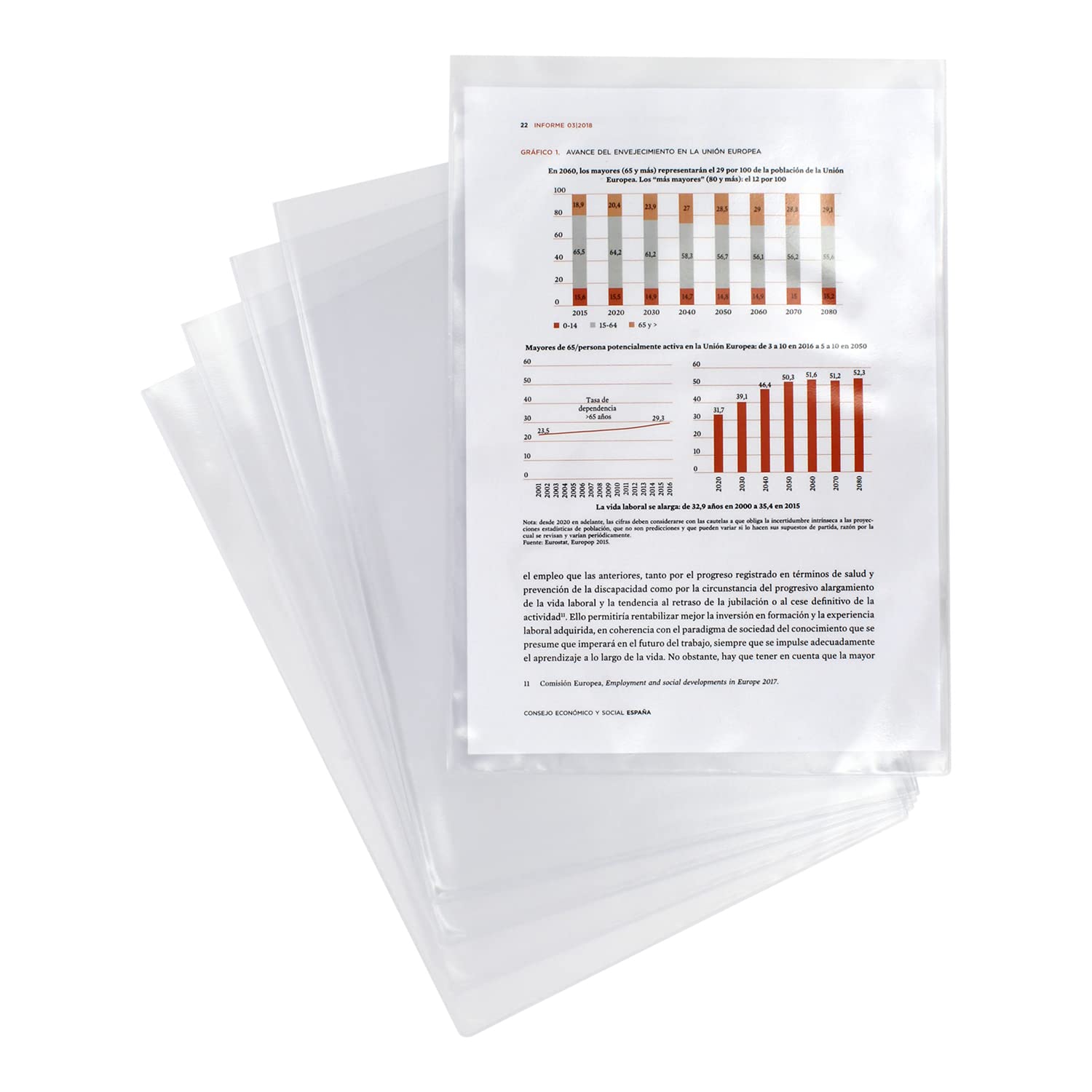 Grafoplás 5621000. Box of 100 Transparent PVC Sleeves, 100 microns, Folio Size