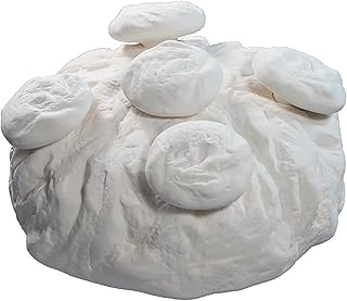 Milltown Merchantsâ„¢ Frag Rock and Plugs - Aquarium Reef Rock Kit for Coralline Algae Growth - Solid Frag Station with Mushroom Fragging Plugs