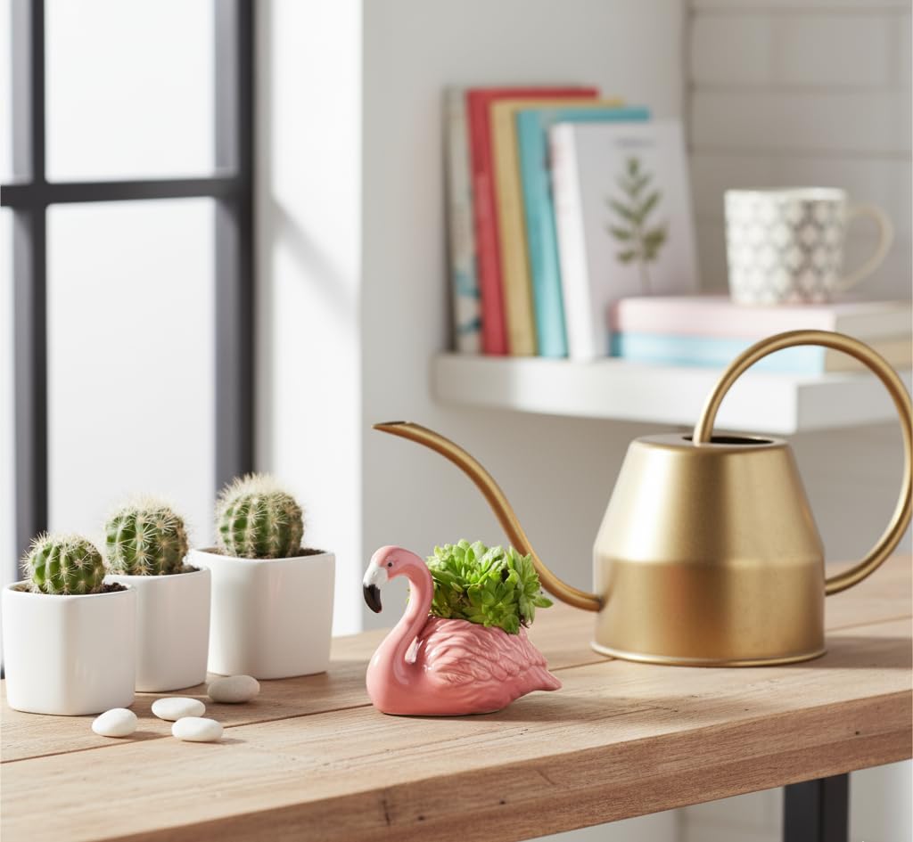 Amazon.com: Abbott Collection Mini Flamingo Planter - Ceramic