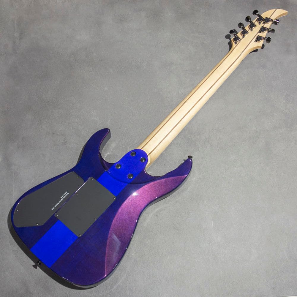 Amazon | Caparison Guitars Dellinger7 Prominence EF Trans.Spectrum