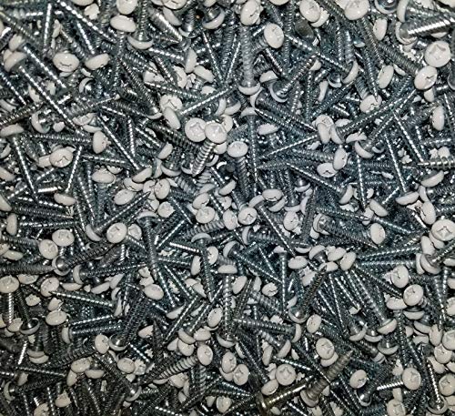 100 Pack PAN White Head Screw # 8 X 1