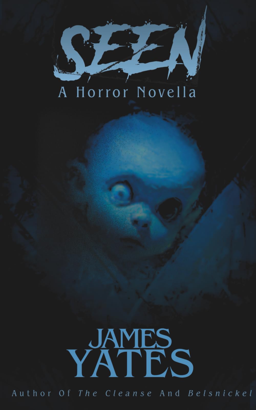 Seen: A Horror Novella