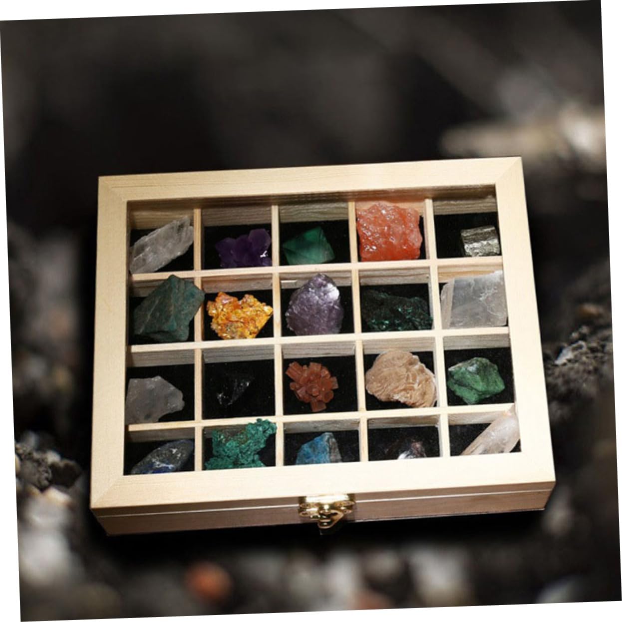 Baluue 20pcs Collection Stones Specimen Rocks and Crystals for Decoration for Friends