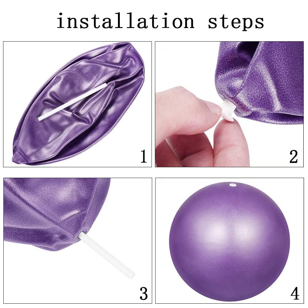 Pilates Ballon Anti-Éclatement 3 Pièces Yoga Ball Fitness avec Pailles Gonflables Bleu Rose Violet