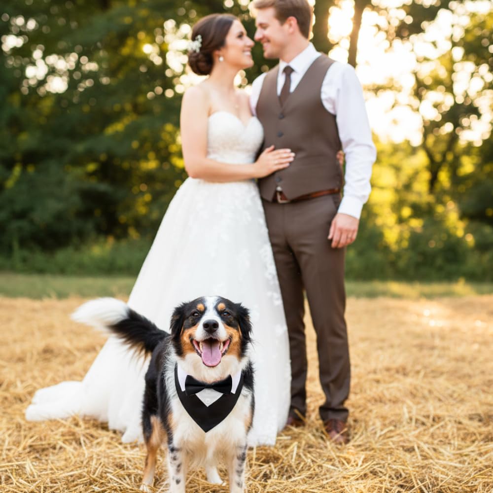 Bandana per Cani Formale 36-60 CM,Collare Smoking Cane con Foulard e Papillon,Sciarpa Cravatta Cane Regolabile,Costume Elegante per Animale Domestico per Matrimoni, Compleanni, Festa - Nero