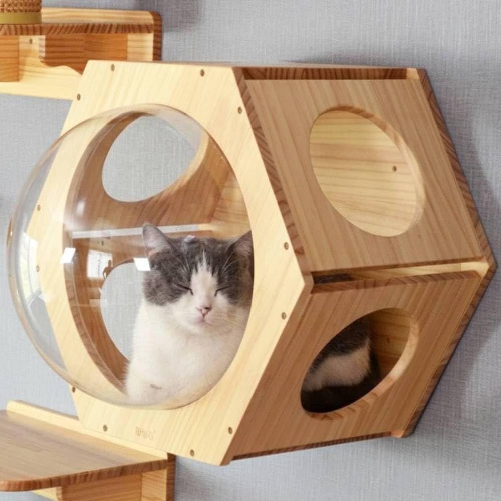 Amazon.co.jp: Bonarca キャットウォーク 壁 カプセル キャット