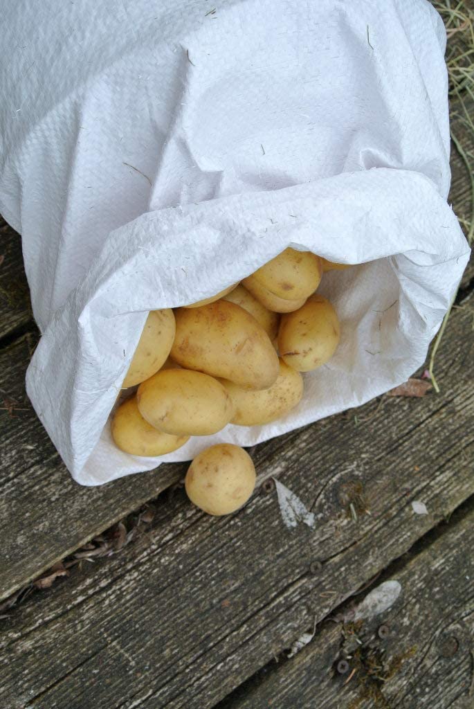 100 sacchetti in tessuto premium, 300 x 600 mm, volume 10 kg, sacchi a nastro, sacchi per cereali, sacchi di sabbia, sacchi da giardino rinforzati, sacchi per legna da ardere, resistenti alla raggi UV