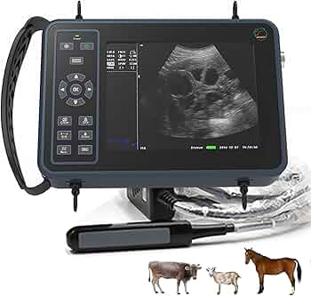 裁断済・自炊用] 小動物X線・超音波ハンドブック 裁断済・自炊用] 小動物X