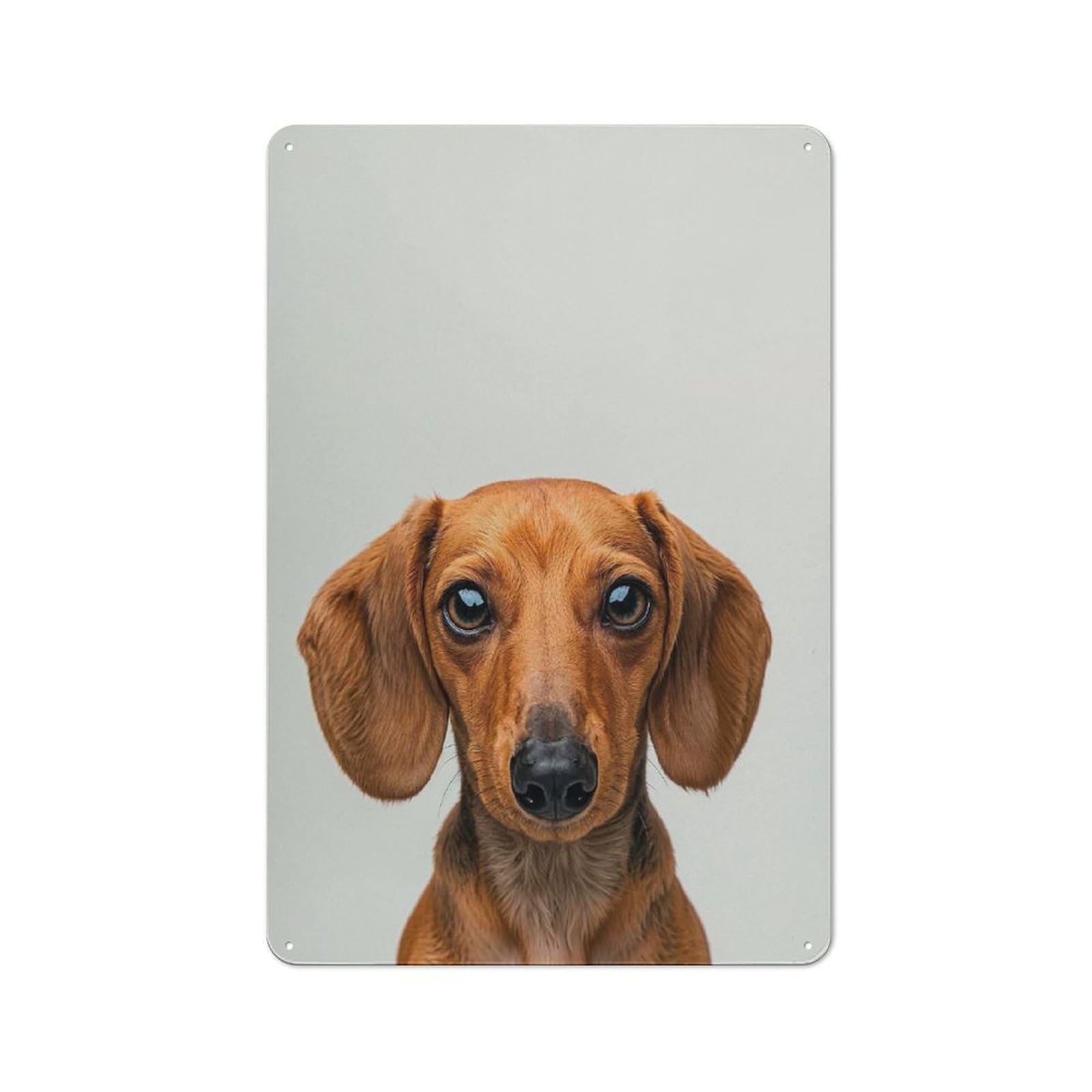 Junmoney Style-2 Garage Style Cute Baby Dachshund Decorative Metal Plaque 30X20cm, Garage Wall Decor For Workshop, Basement, Shed Or Games Room