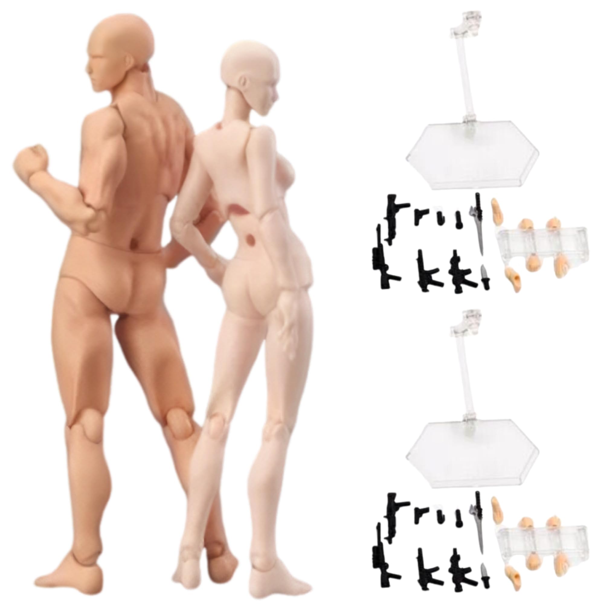 Amazon.co.jp: 東京もの屋敷 デッサン人形 デッサンモデル 人体模型