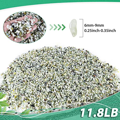 Succulent Rocks For Plants Tiny Pebbles For Planters 11.8Lb Pea Gravel Bulk Polished Course Sand Soil Small Decorative Stones For Indoor Bonsai Pots Cactus Top Dress Aquarium Garden Landscape, Green #TOP1
