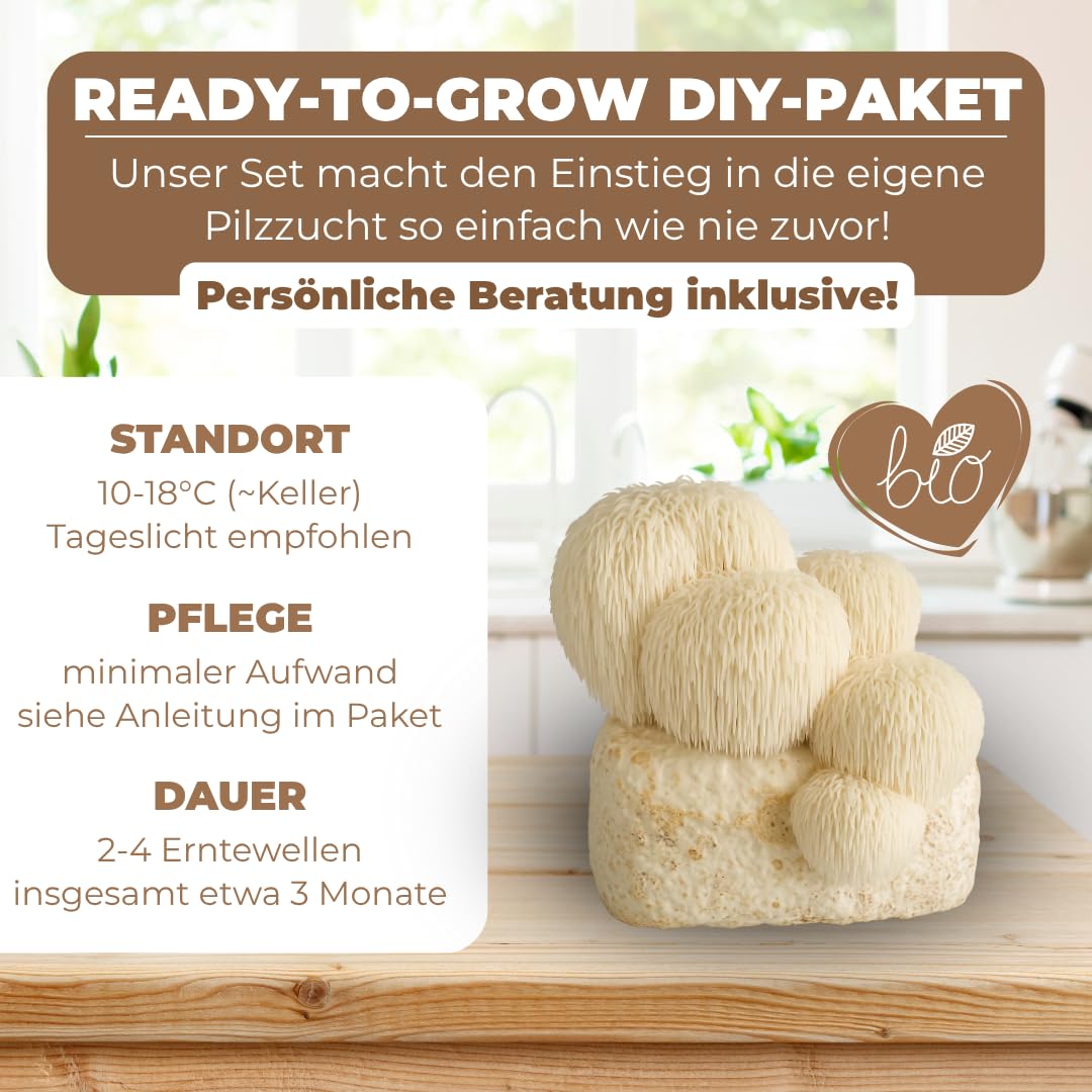 Hawlik Pilzbrut - Pilzzuchtset für Lion's Mane/Hericium erinaceus - BIO Pilzkultur für den einfachen Anbau Zuhause - Igelstachelbart Pilze züchten Set