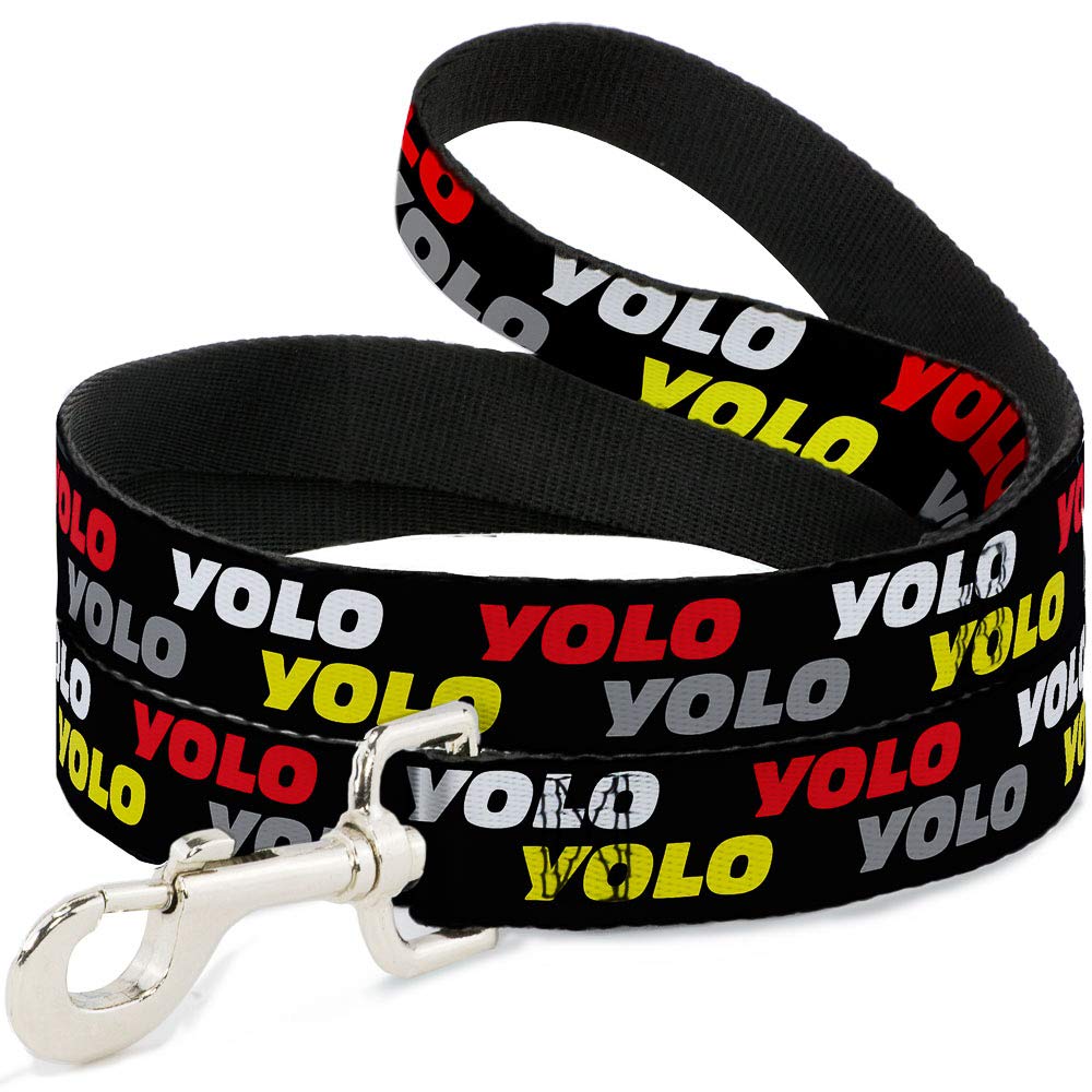Laisse pour chien YOLO2 blanc 1,8 m longue et sangle 1,3 cm pour grand et moyen chien