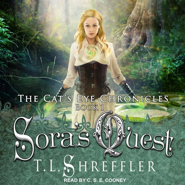 Cover art for Sora's Quest