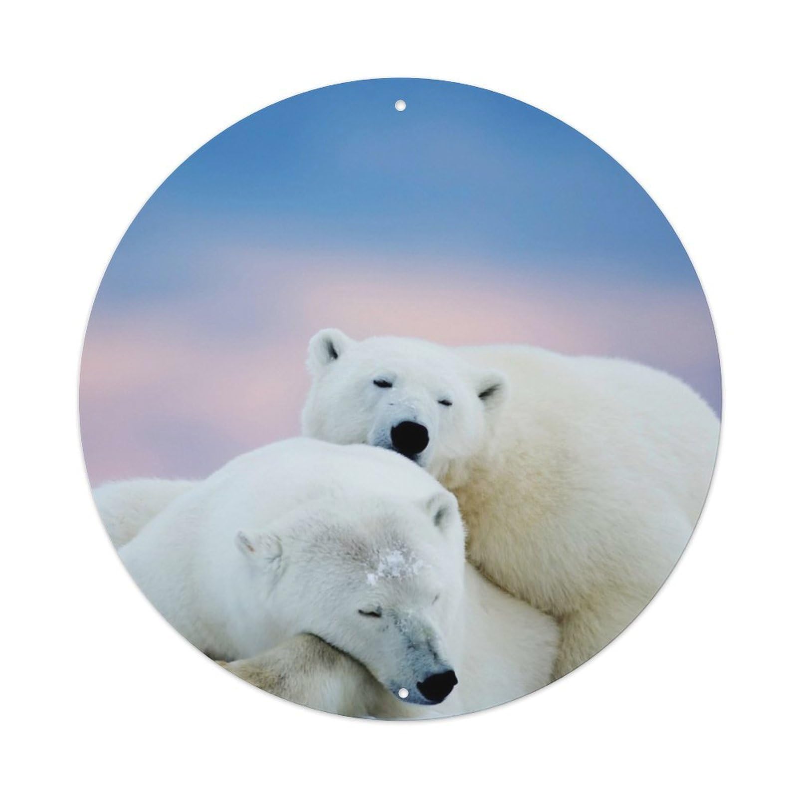 Animals Cute Polar Bear Sleeping Metal Tin Sign
