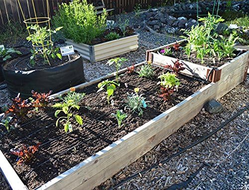 Medium Garden Bed Kit with Timer