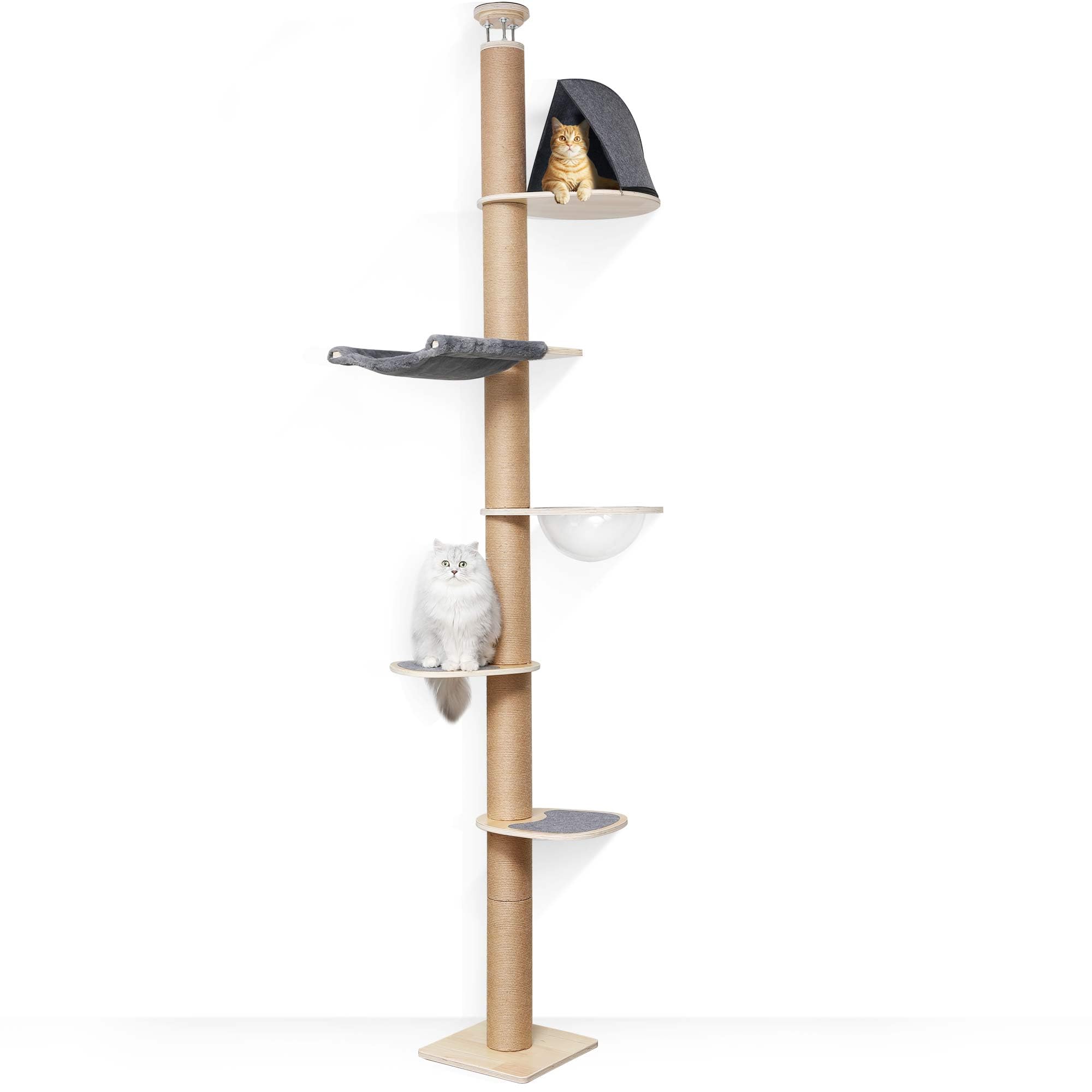 FUKUMARU Árbol rascador para Gatos, Torre de 6 Niveles hasta el Techo (280-300 cm), montado en la Pared, Hecho de Madera de Caucho Natural, con cápsula Espacial Transparente y cómoda Hamaca, Gris