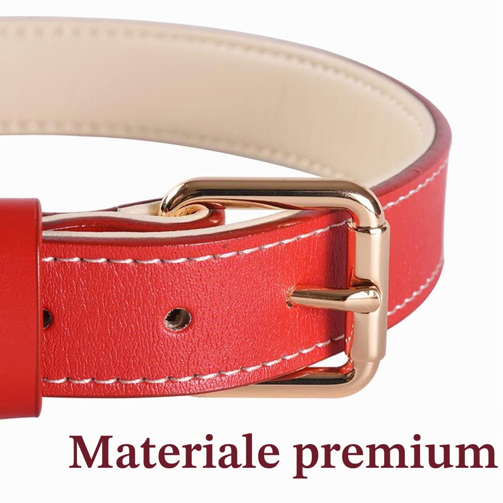 Collare Cani in Pelle Morbida Genuina Regolabile di Imbottito Migliore per Piccoli Cani di Razza Media Grande (L, Rosso)
