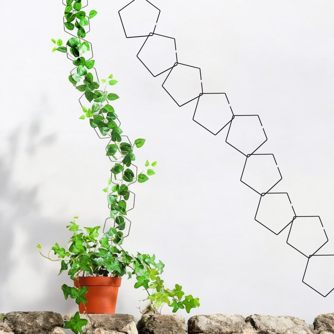 ecofynd 5 inches Metal Plant Stakes, Pentagon Shape Single Stem Flower Plant Support, Garden Plant Trellis for Outdoor Amaryllis Orchid Lily Rose Tomatoes (Black, Pack of 10, TR007) (B0CKLV3B8C) Amazon Price History, Amazon Price Tracker