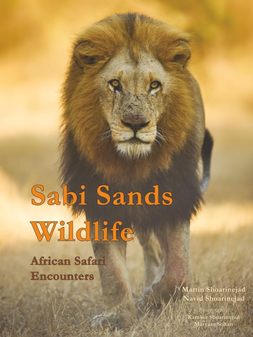 Sabi Sands Wildlife: African Safari Encounters
