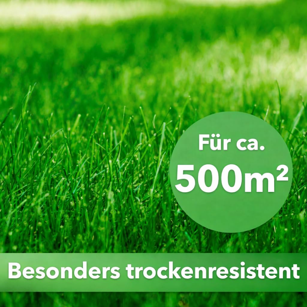Hesa RSM 7.4 Graines de gazon ombragé, 10 kg pour environ 500 m², graines de gazon de qualité professionnelle pour l'ombre et la mi-ombre, graines de gazon pour surfaces ombragées et post-semis