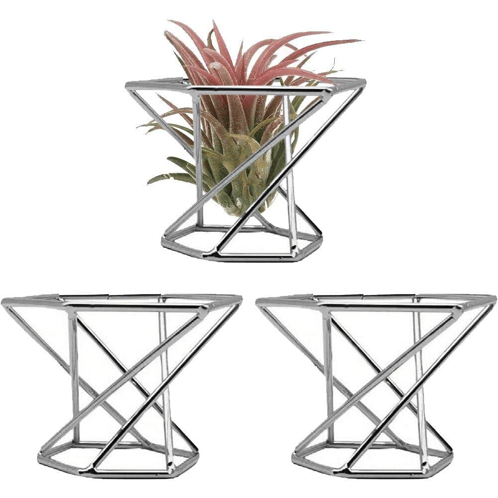 Tsffae 3pcs Metal Plant Stand Compact Tillandsia Display Stand Elegant Fern Plant Stand Geometric Air Plant Holder for Home Decor