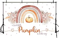 Vista 4 de Sendy Telón de fondo bohemio de 10 x 7 pies con diseño de calabaza y arco iris para baby shower, suministros de decoración de fiesta de otoño