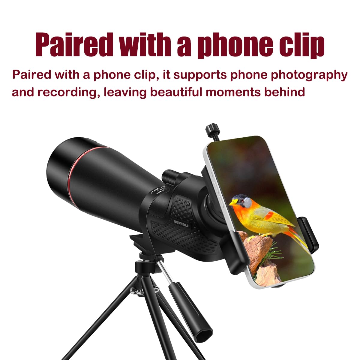 Lunette d'observation 25-75 x 80 pour tir et chasse – Lunette d'observation avec trépied adaptateur téléphone étanche HD pour tir sur cible, observation des oiseaux