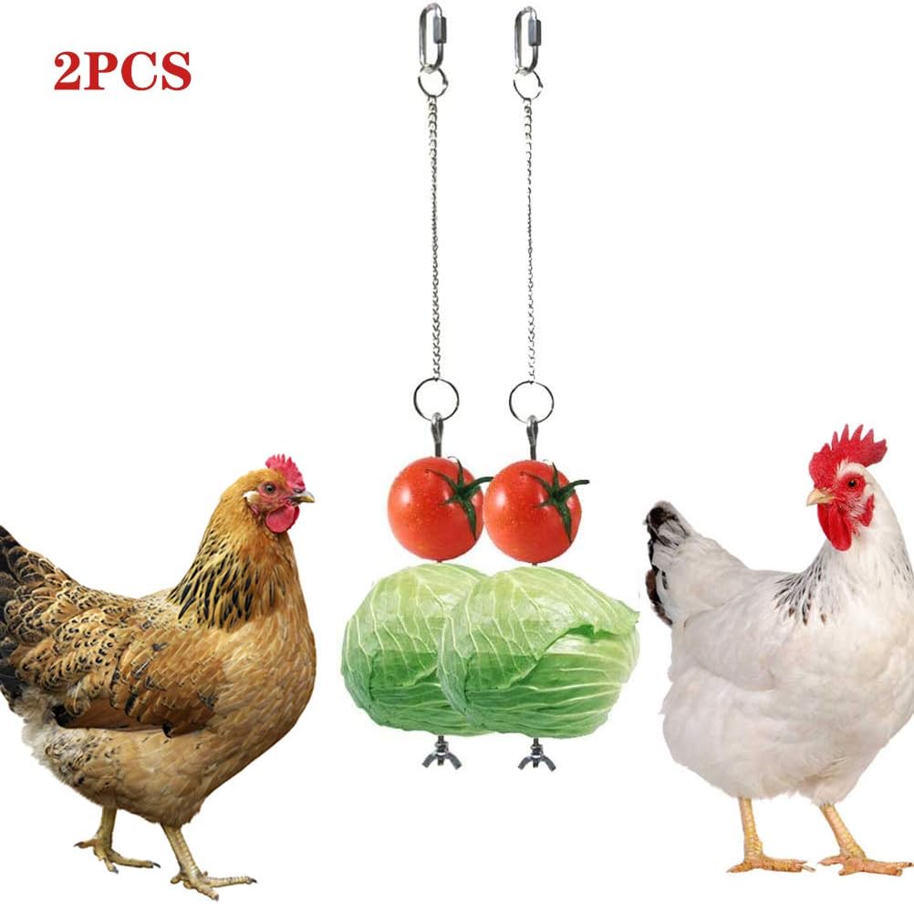 portafrutta per uccelli