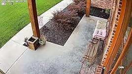 Review Image by Robert Milner Robert Milner