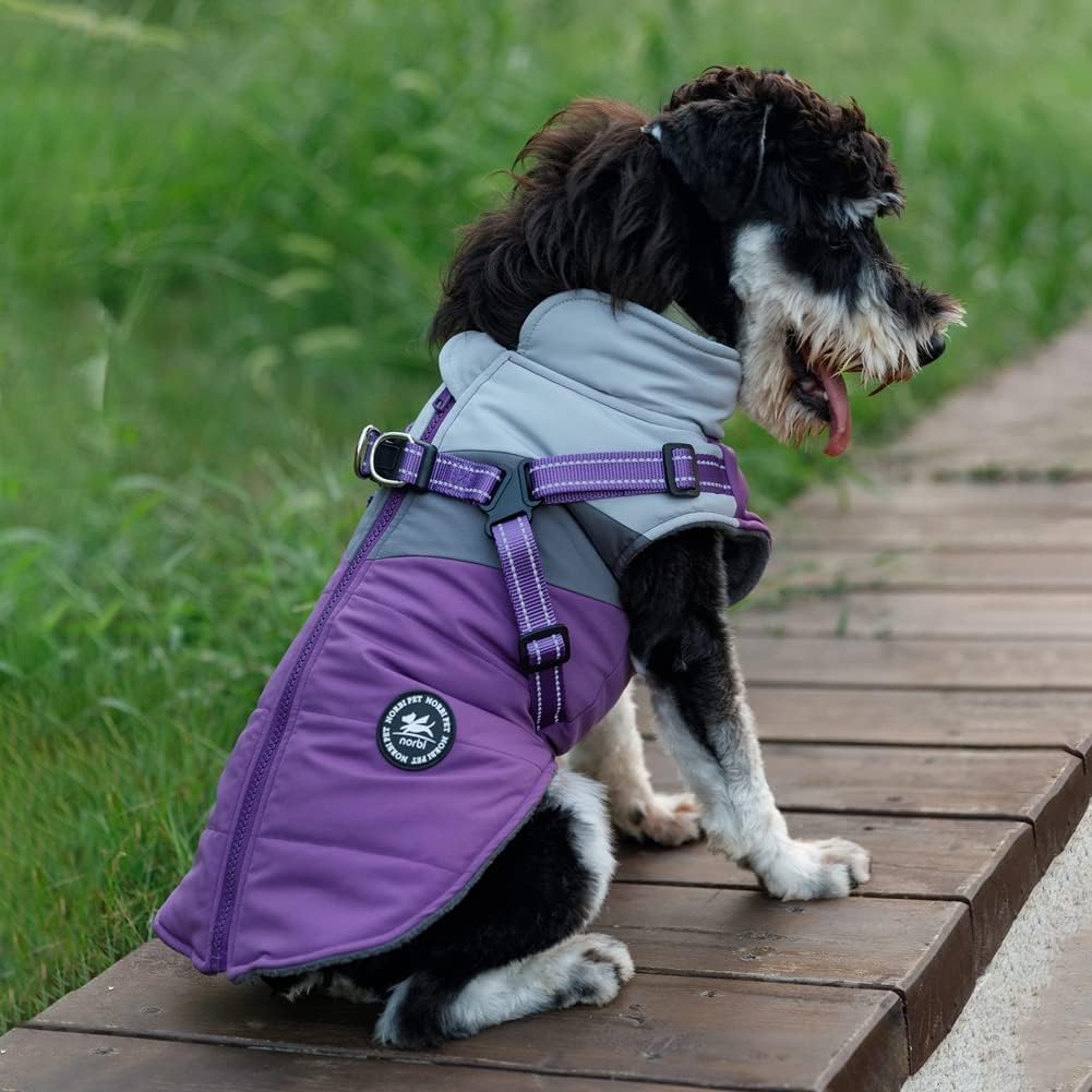 Norbi Small Dog Winter Jacket with Harness - 2 in 1 Puppy Coat