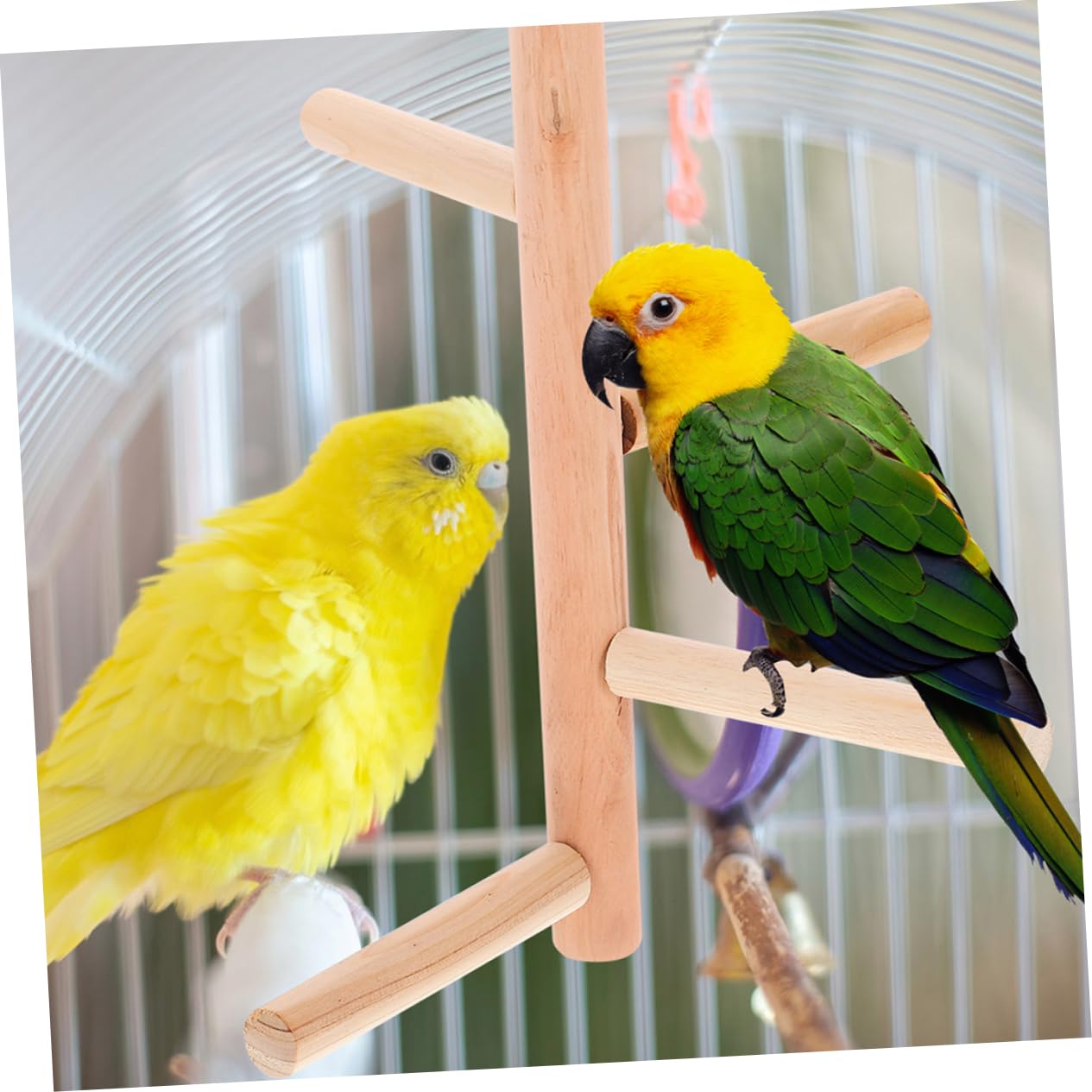 Yardwe 10 Piezas Pájaro De Juguete Jaula De Pájaros Perchas para Jaulas De Pájaros Accesorios para Percha De a para Periquitos a De Pájaro Cacatúa Juguetes De Madera