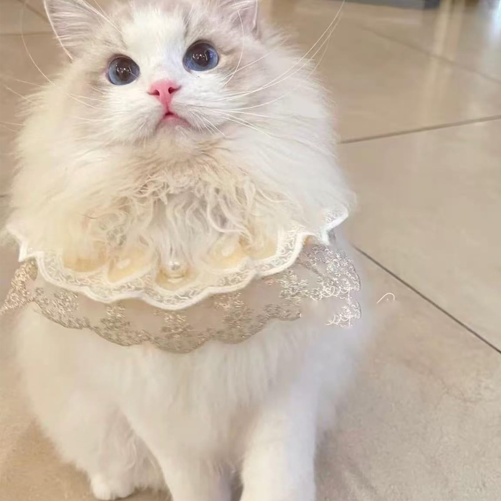 Gold Pet Lace Collar Dog Cat Collar Lace Pet Scarf for Puppy Cat Costume Supplies M - Image 3