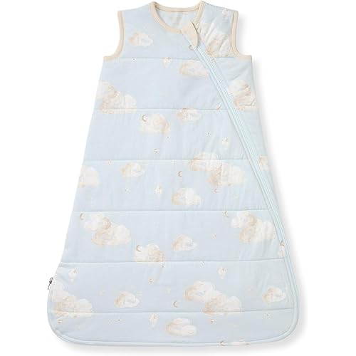 Burt's Bees Baby Unisex Newborn Essentials 100% Organic Cotton Beekeeper Wearable Blanket