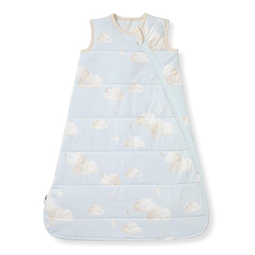 Burt's Bees Baby Unisex Newborn Essentials 100% Organic Cotton Beekeeper Wearable Blanket