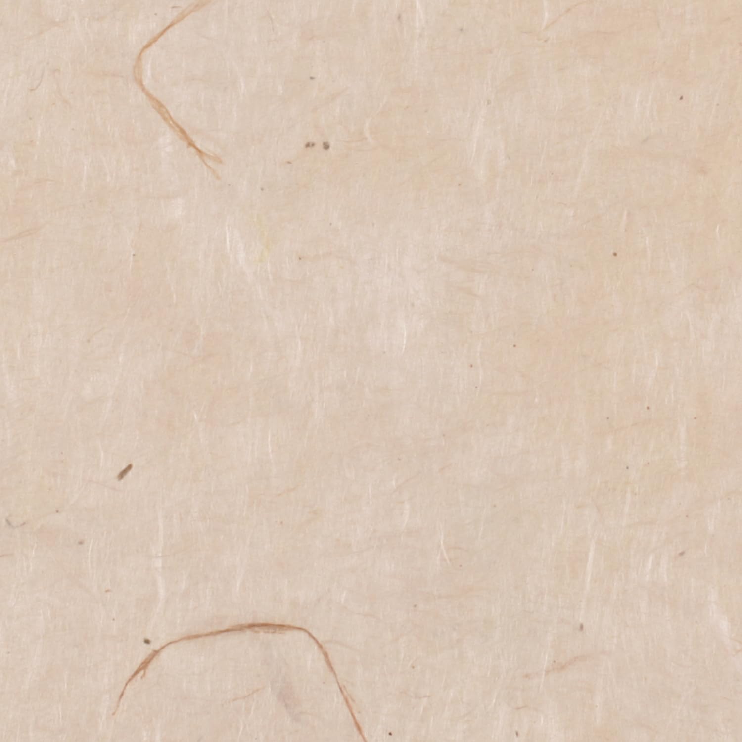 Papier népalais lokta naturel Oz Paper Tree de 80 gr par m2