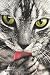 Address Book: Birthdays & Address Book for Contacts, Addresses, Phone Numbers, Email, Organizer Journal Notebook A5 (Address Books) (Cats) (Volume 1)