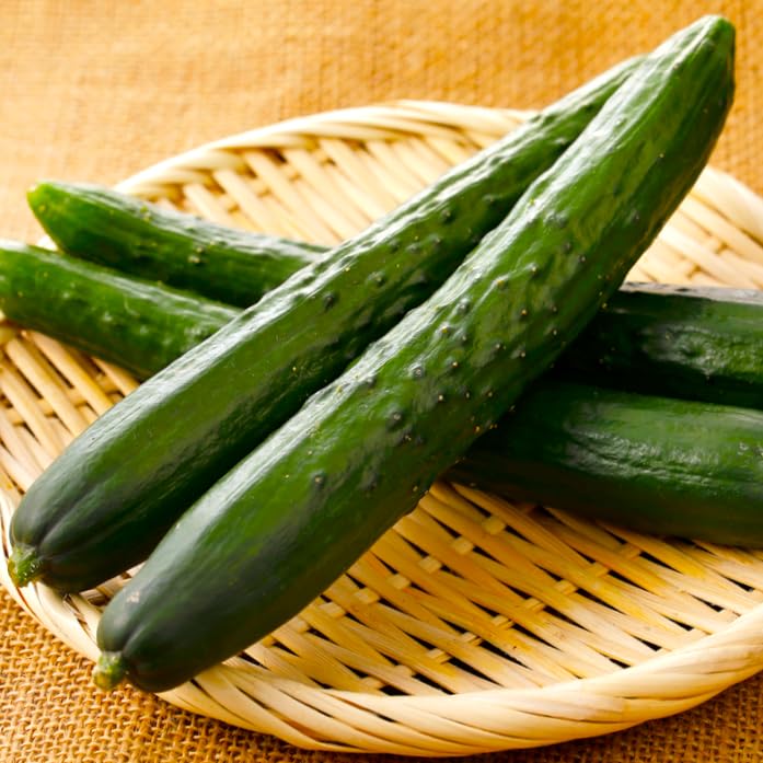 未使用 Magic Cucumbers - Magic Crush Amazon.com : Cucumber Seeds - Early Spring Burpless F1-3 g