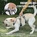 LAVAMOND Großes Hundegeschirr, kein Ziehen, ausbruchsicher, mit Griff, 4 Schnallen, 2 Ringe, weich gepolstert, rutschfest, verstellbar, mittelgroß, Easy Walk für mittelgroße bis große Hunde